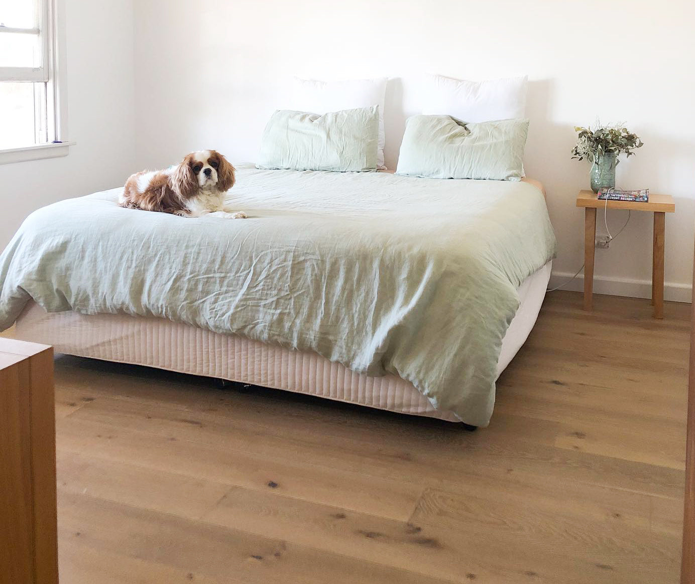 Keep Your Floors Looking Good With Pets