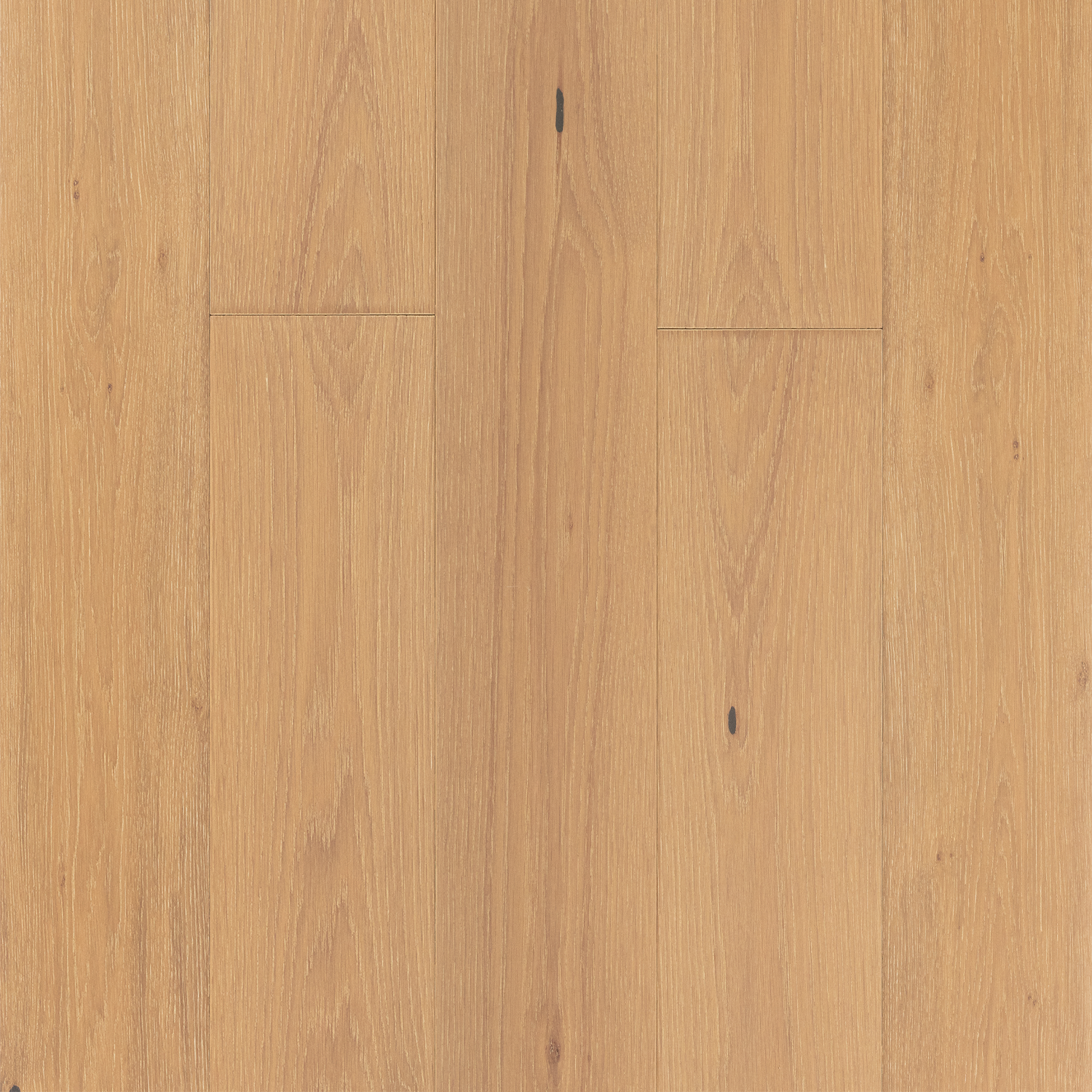 Sofia Timber Flooring