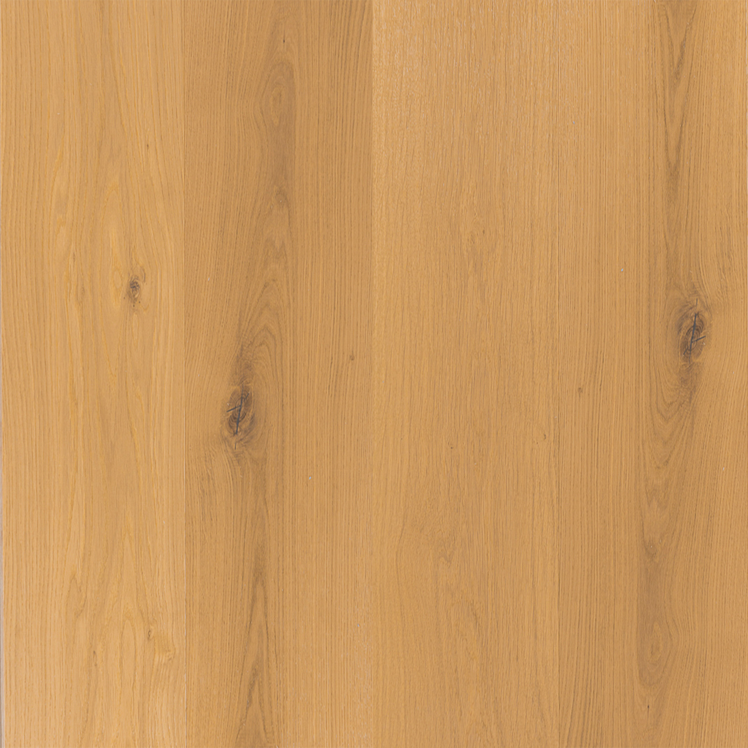 Astoria Blonde Timber Flooring