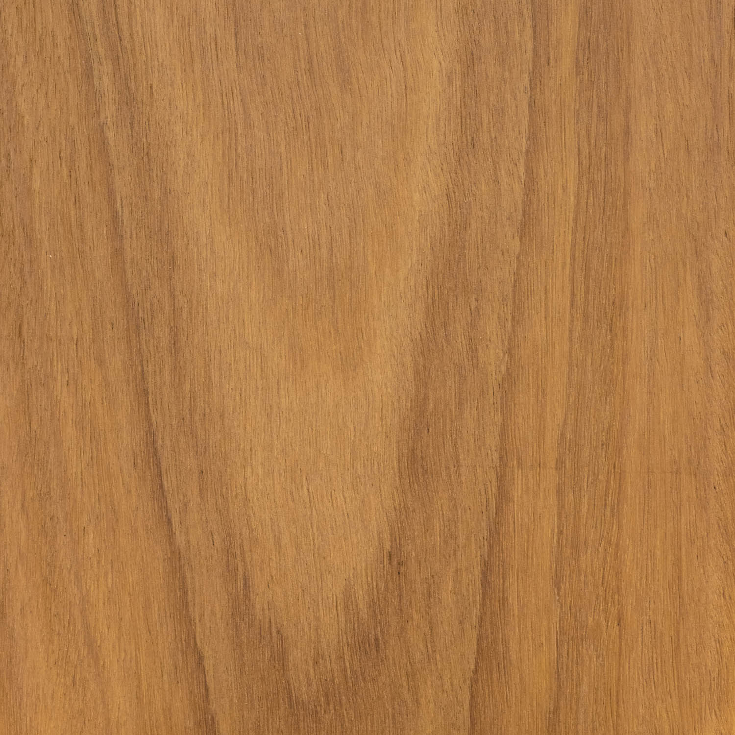 Blackbutt Timber Flooring Matte Brushed