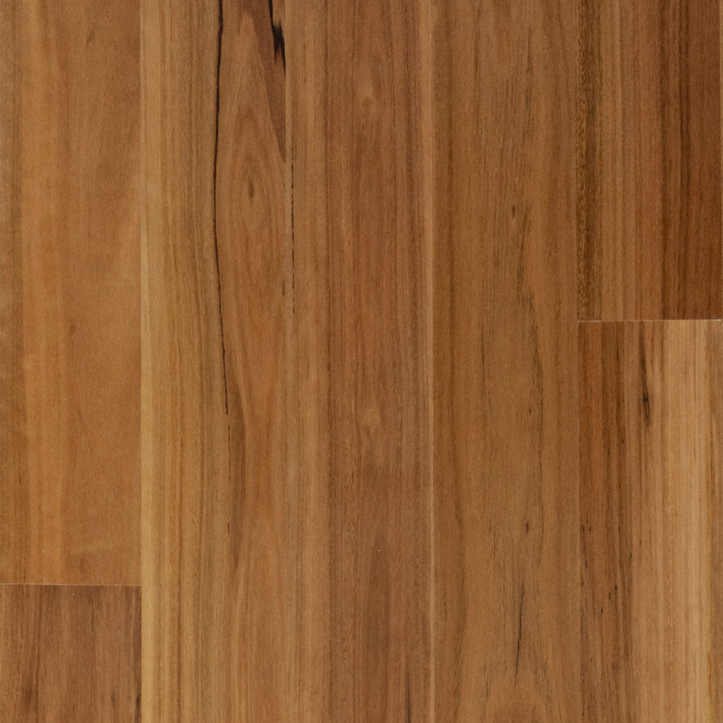 Spotted Gum Timber Flooring Smooth Gloss