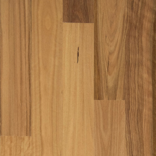 Blackbutt Timber Flooring Smooth Matte