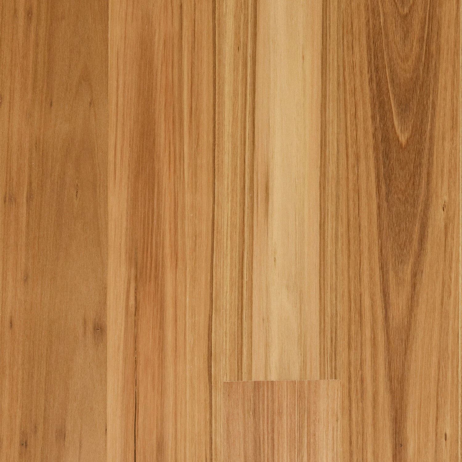 Blackbutt Wideboard Matte Brushed