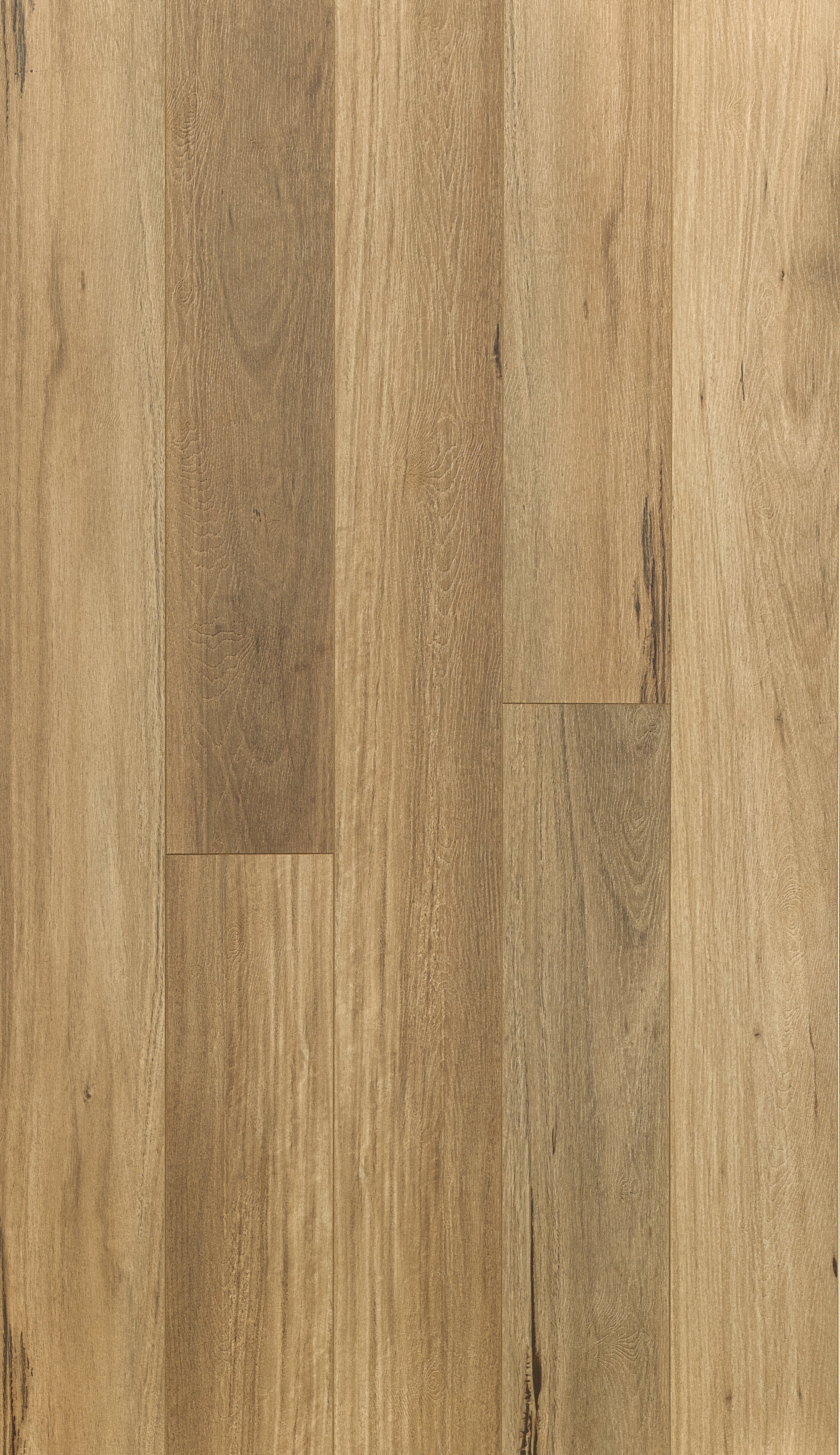 Coastal Blackbutt Hybrid Flooring