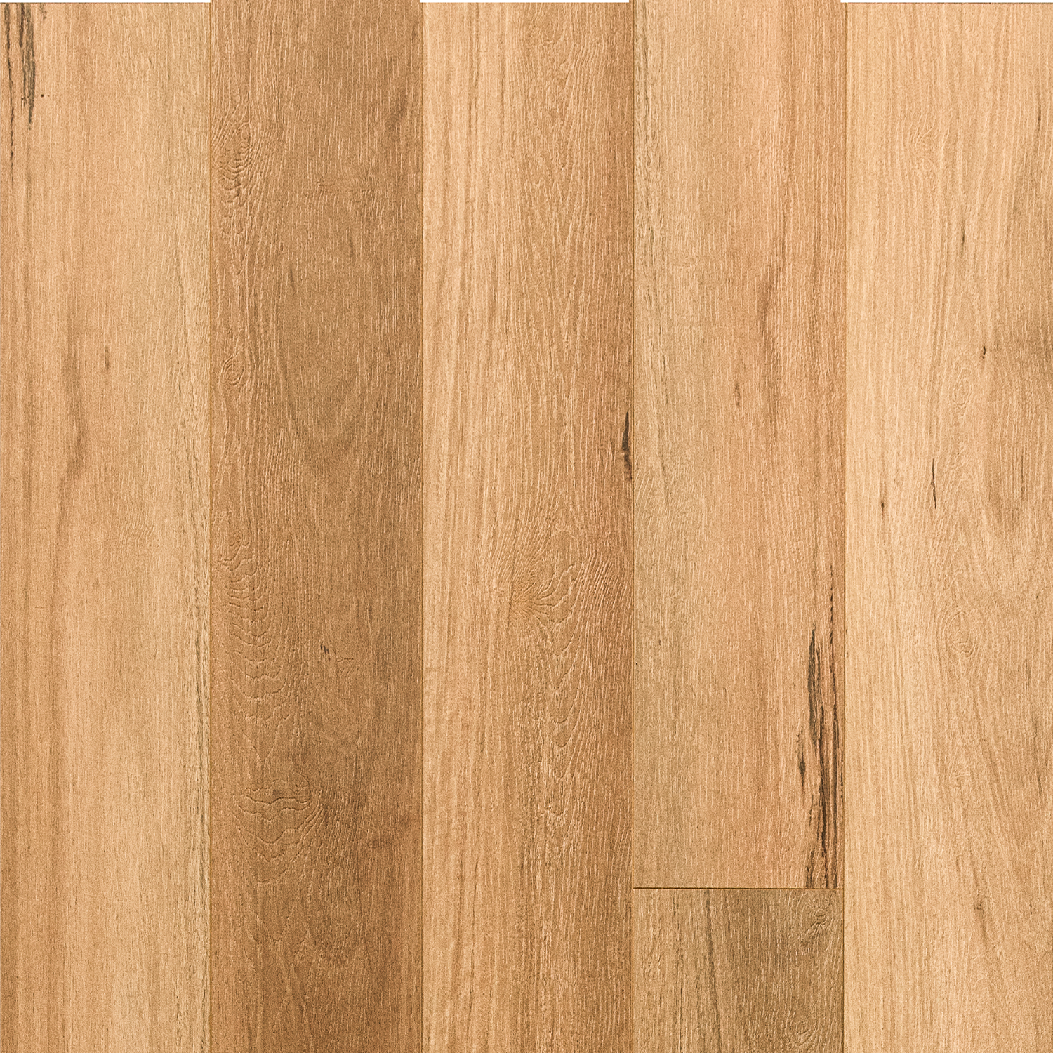 Coastal Blackbutt Hybrid Flooring