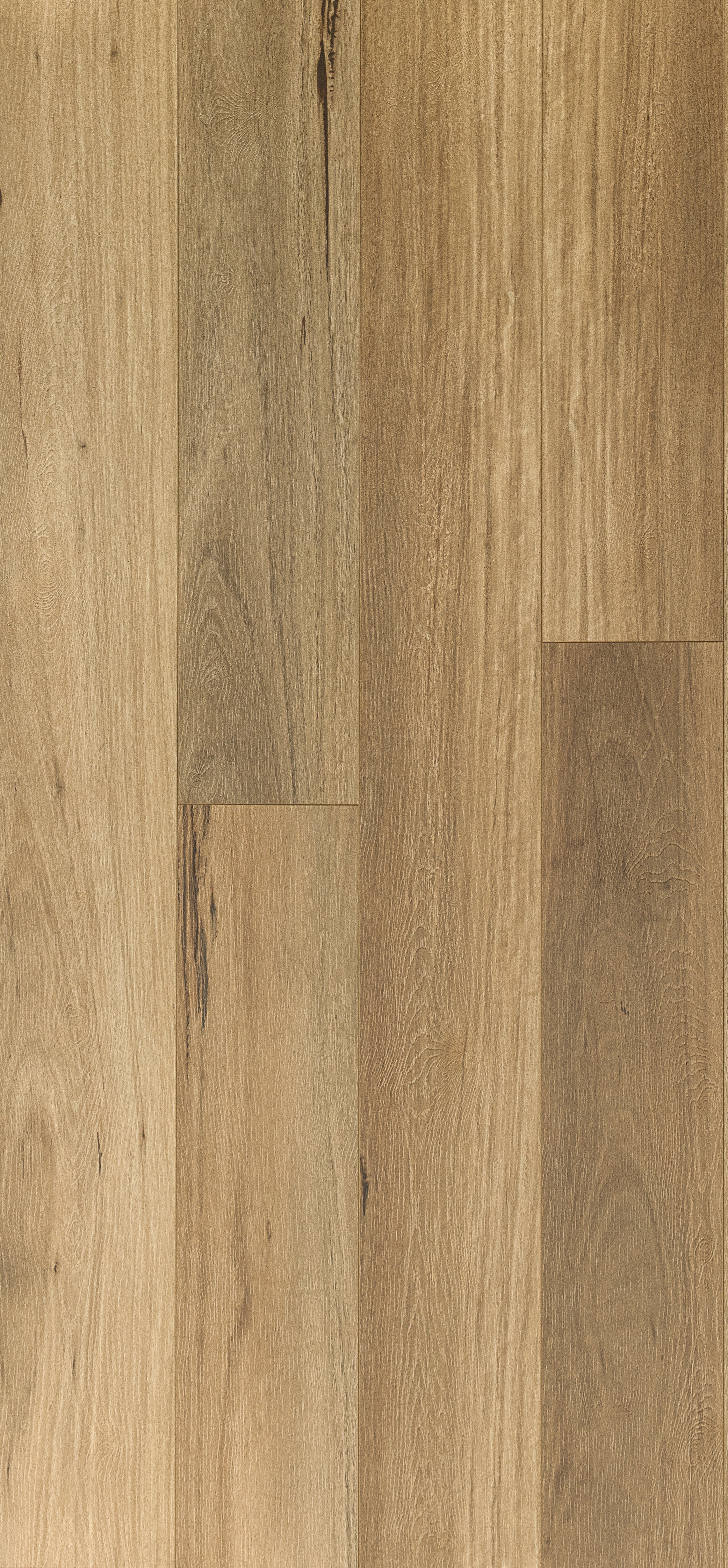 Coastal Blackbutt Wideboard Hybrid Flooring