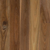 Spotted Gum Smooth Matte