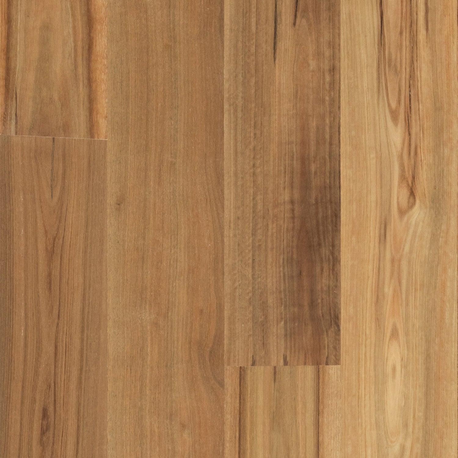 Spotted Gum Wideboard Timber Flooring Matte Brushed
