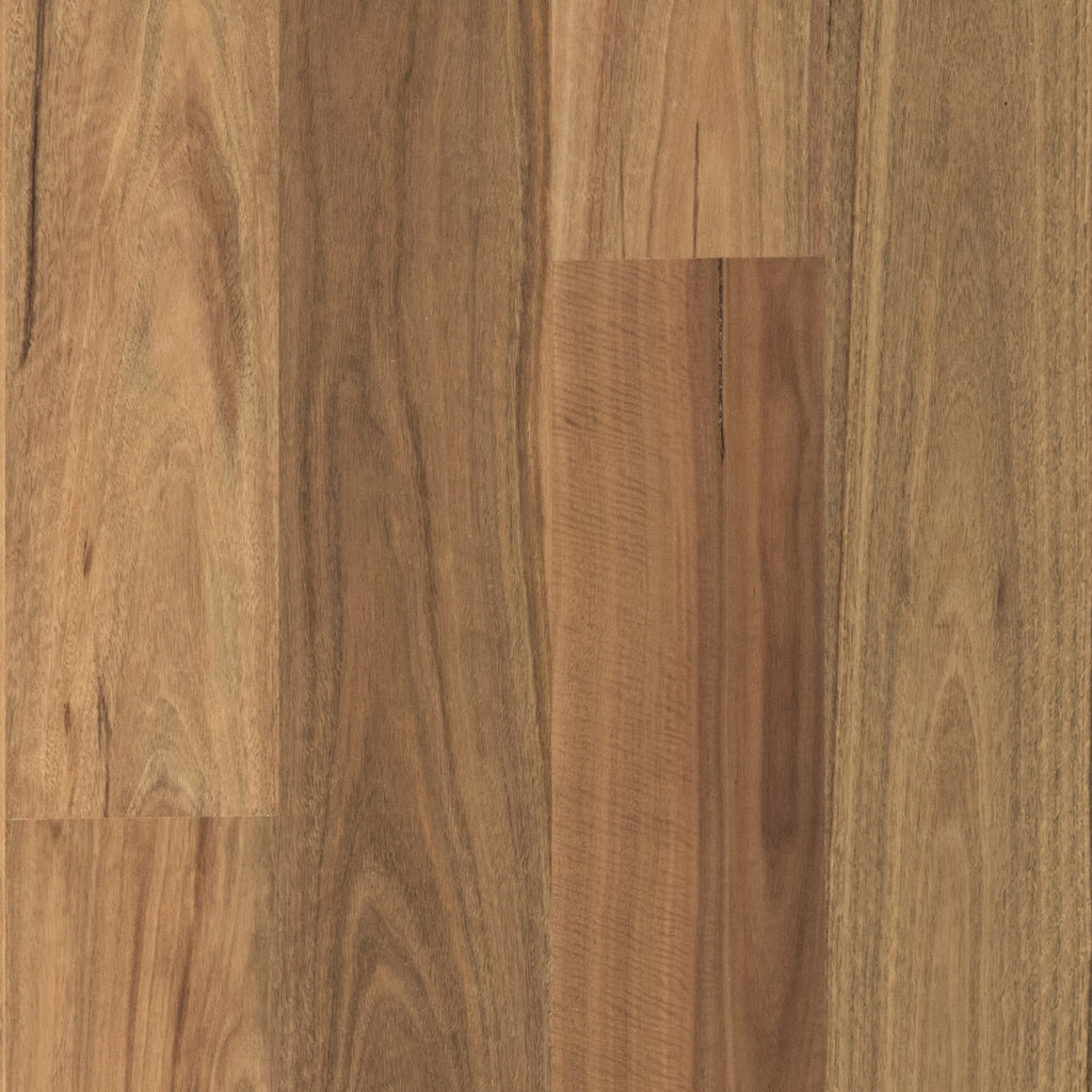 Spotted Gum Wideboard Smooth Matte