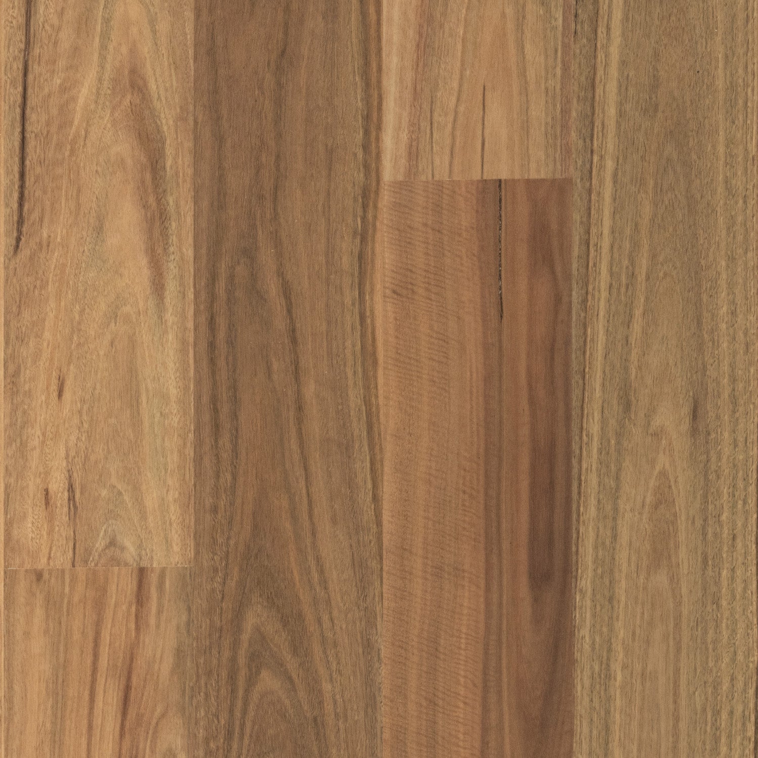 Spotted Gum Wideboard Smooth Matte