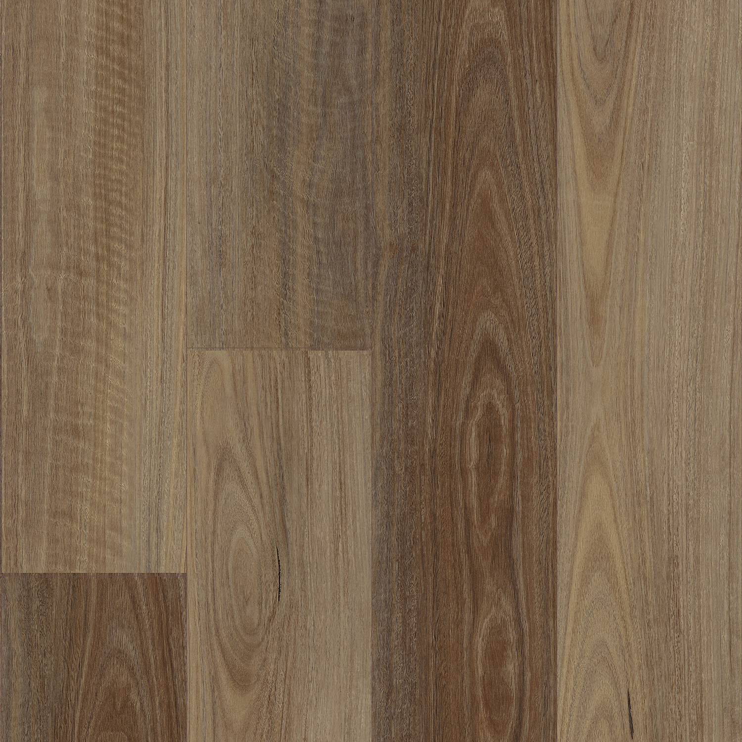 Spotted Gum Vinyl Flooring