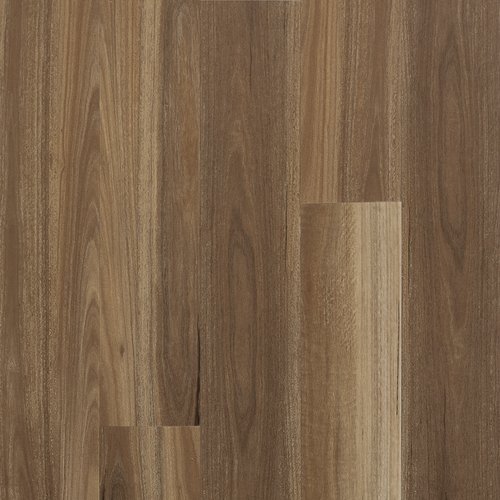 Daintree Spotted Gum Vinyl Flooring