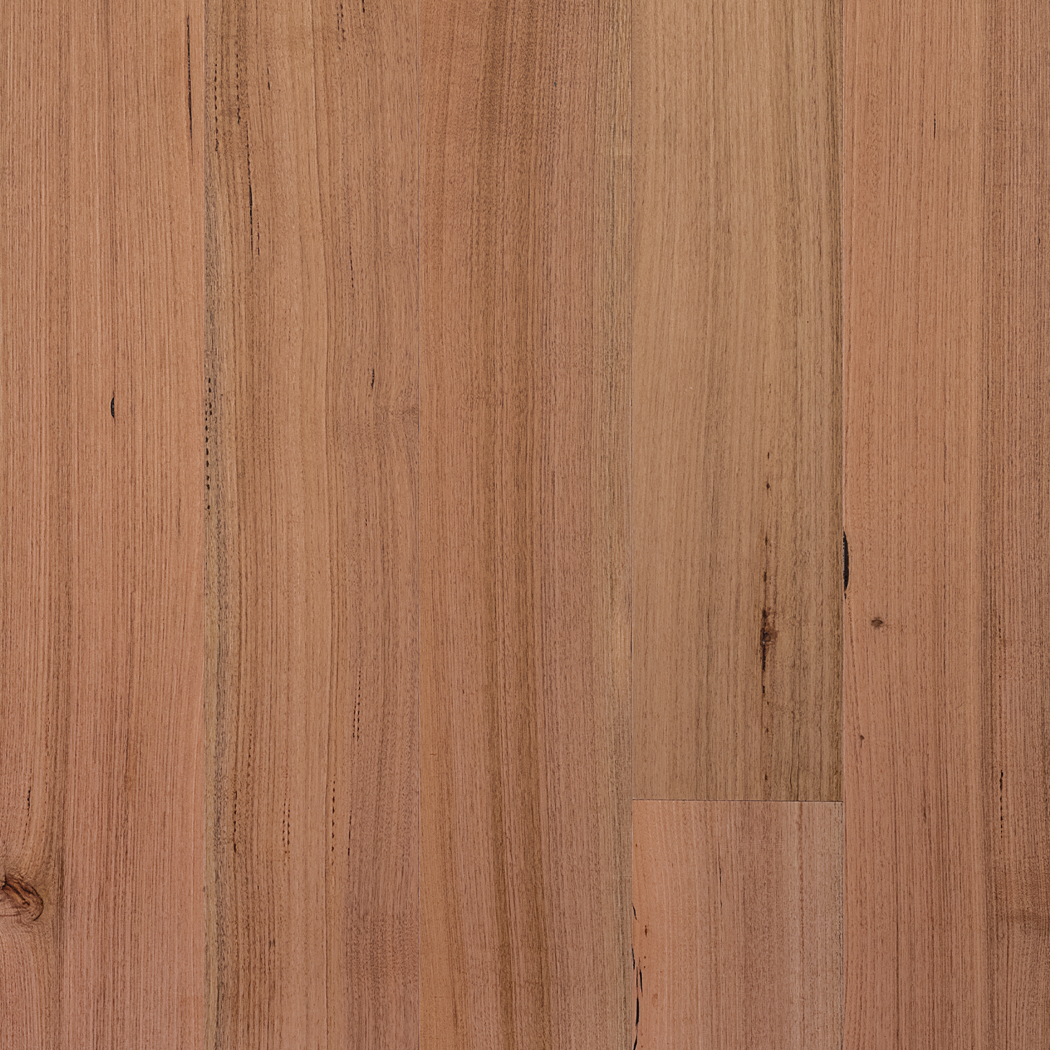 Tasmanian Oak Timber Flooring Smooth Matte