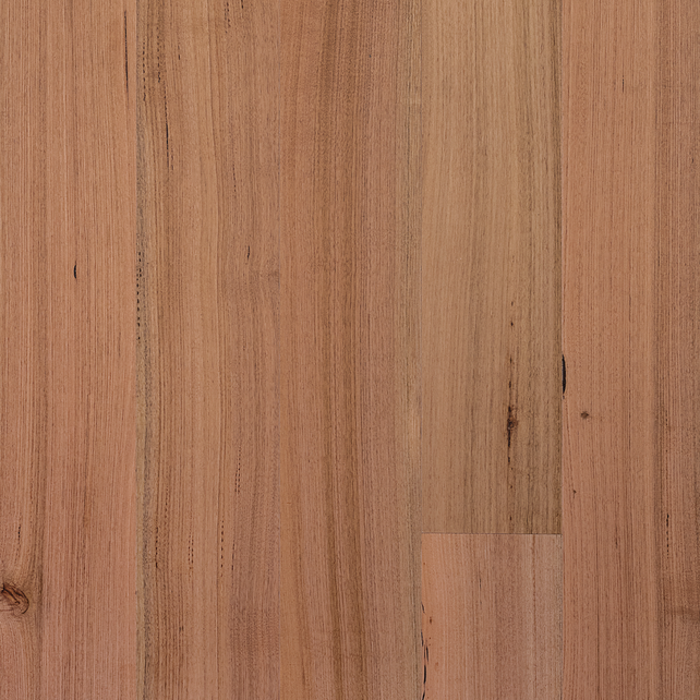 Tasmanian Oak Timber Flooring Smooth Matte