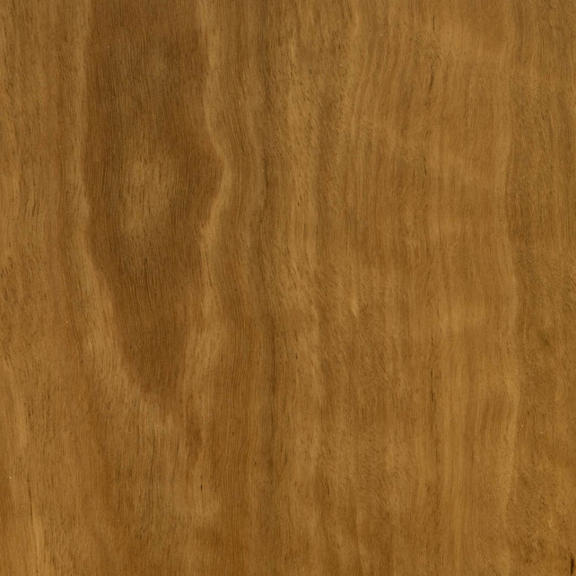 Blackbutt Timber Flooring Wideboard Smooth Matte