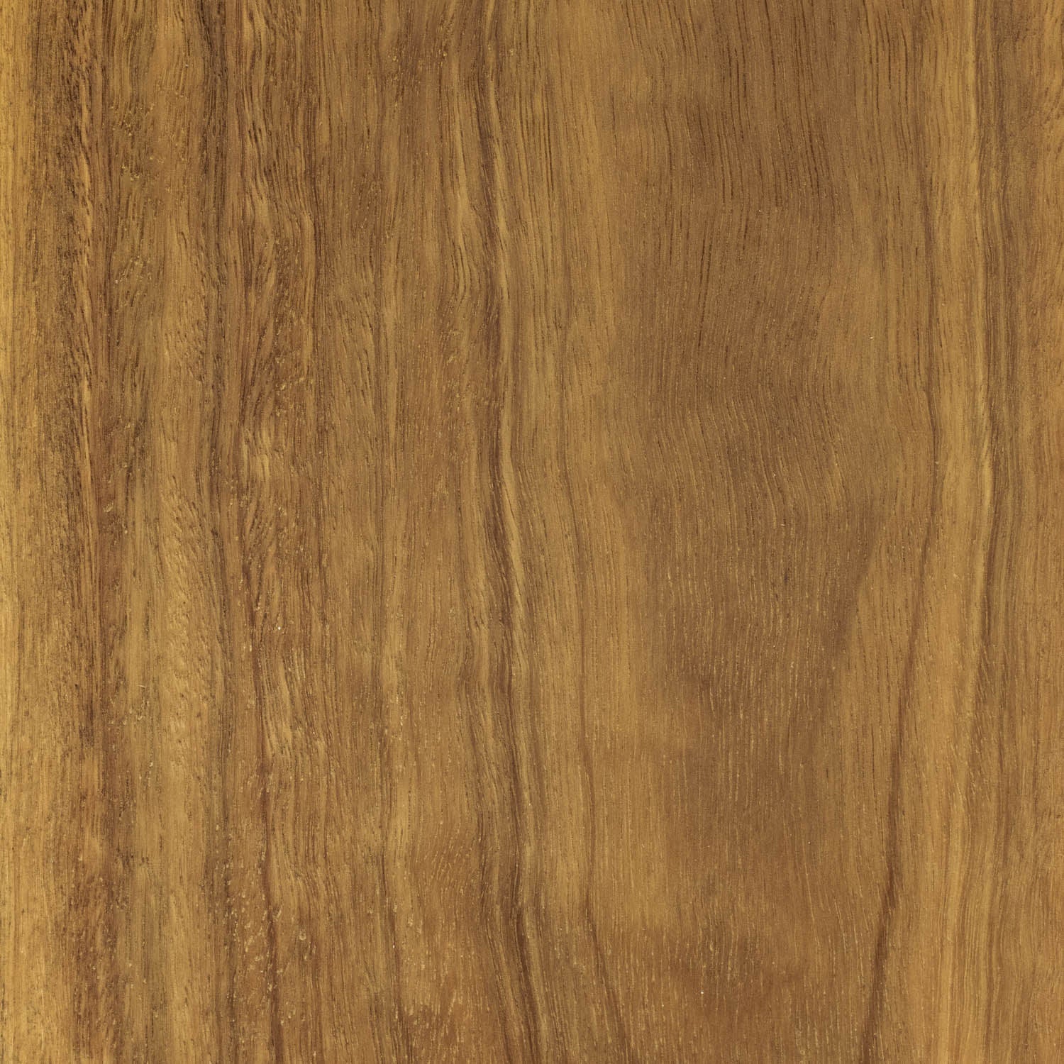 Solid Timber Flooring - Spotted Gum Feature - 80x14mm - PRICE BY